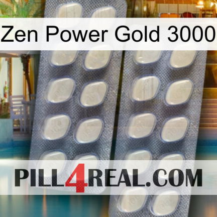 Zen Power Gold 3000 07